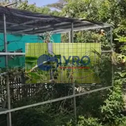 Kawat Ram Hijau Untuk Mini Aviary Jabodetabek