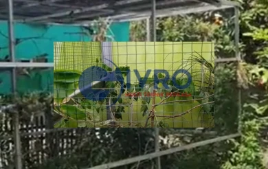 Kawat Ram Hijau Untuk Mini Aviary Jabodetabek